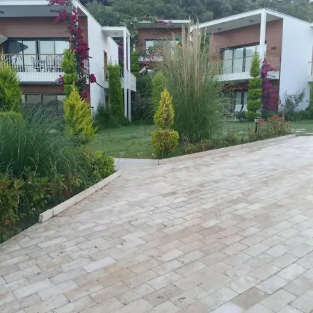 Mooi Modern Dichtbij Zee Daire
