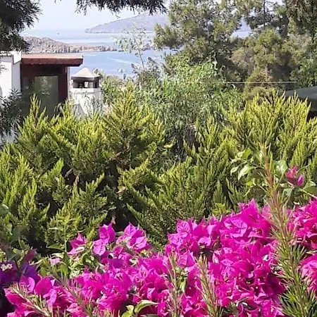 Mooi Modern Dichtbij Zee Daire Bodrum