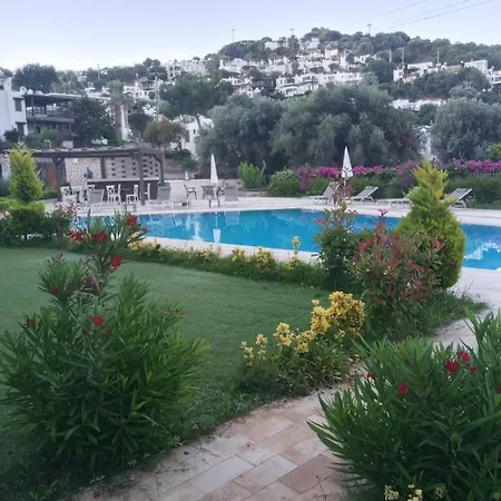 Mooi Modern Dichtbij Zee Daire Bodrum
